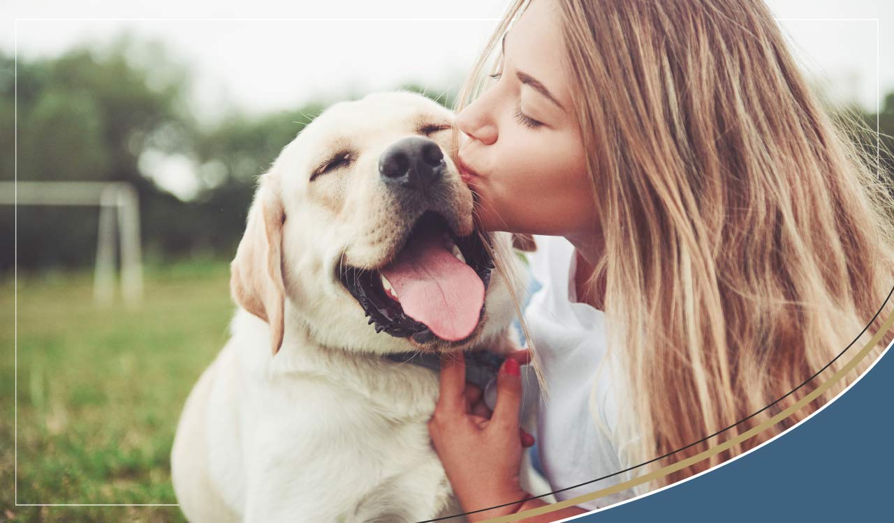 Dogs are often described as 'mans best friend', but how important are pets for our own health?