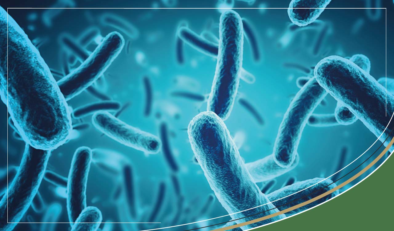 What is e.coli? & Our tips for preventing e.coli infections